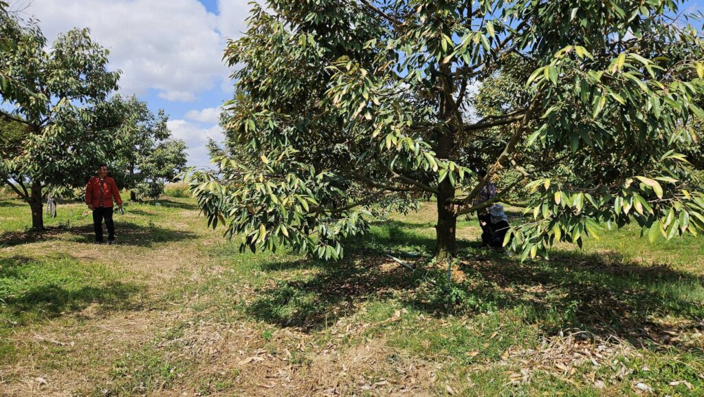 639188155_1392679549559519_2021242482175367944_n