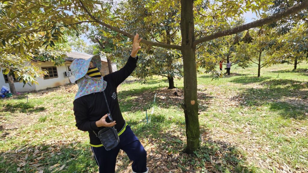 639462345_1392679436226197_8127931421691971527_n