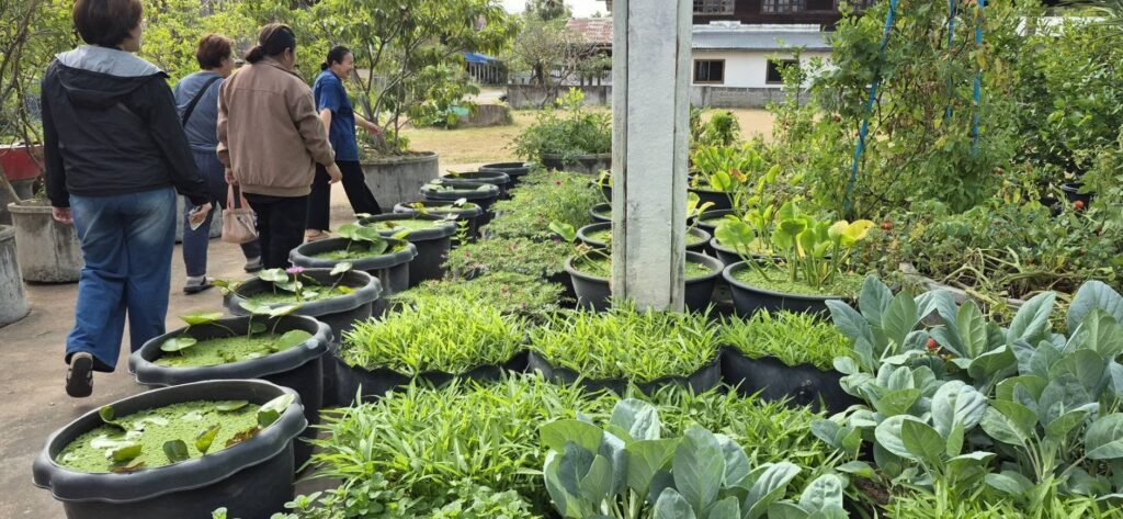 598419645_1458706146257661_52471427567967844_n