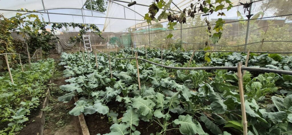 598699113_1458701399591469_2537288960218743487_n